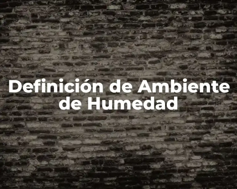 Definición de Ambiente de Humedad