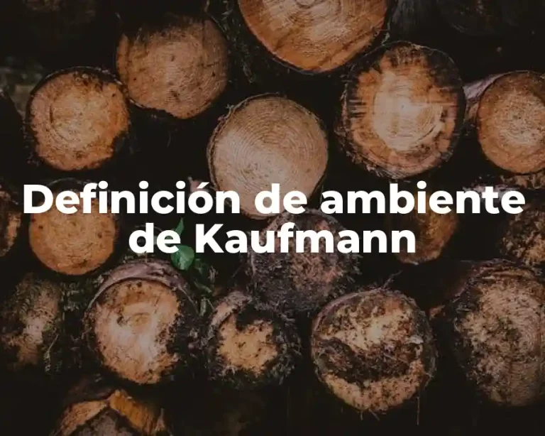 Definición de ambiente de Kaufmann