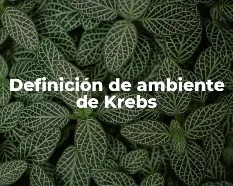 Definición de ambiente de Krebs