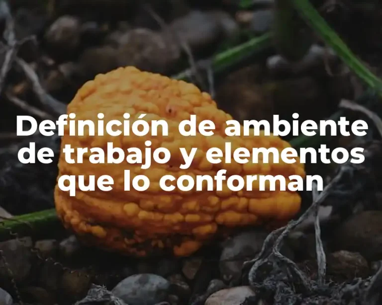 Definición de ambiente de trabajo y elementos que lo conforman