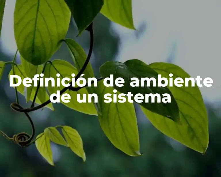 Definición de ambiente de un sistema
