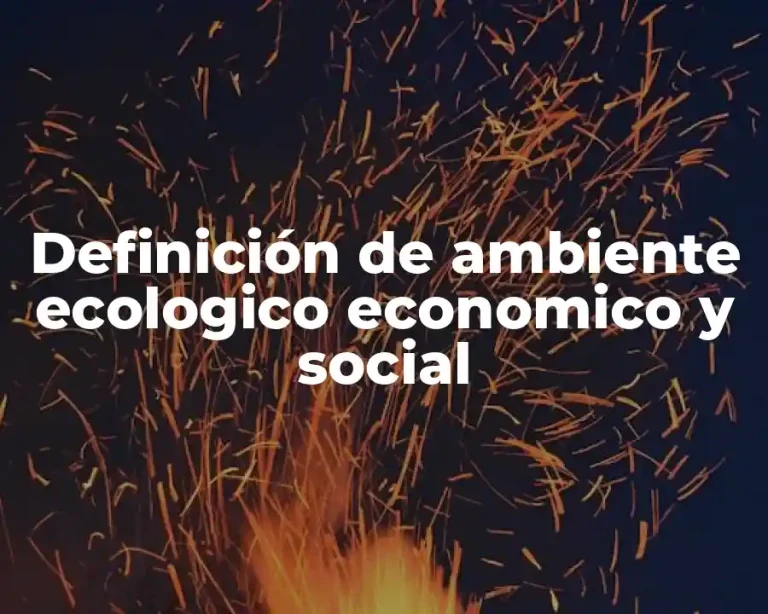 Definición de ambiente ecologico economico y social