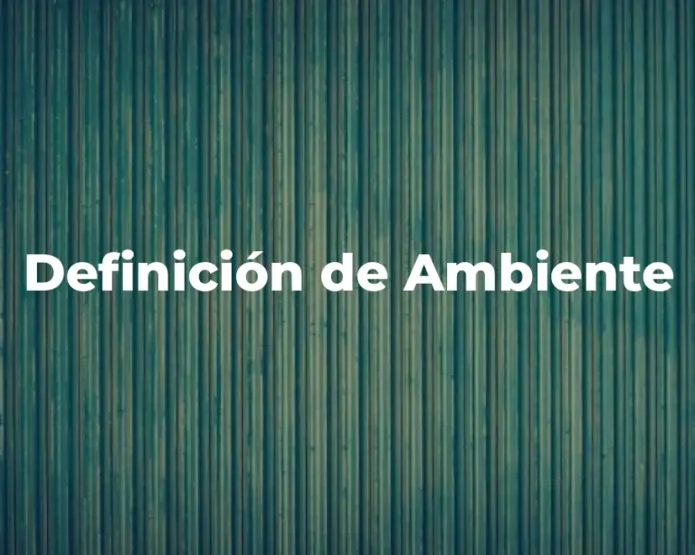 Definición de Ambiente