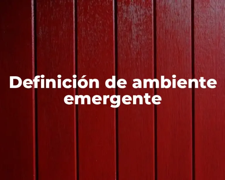 Definición de ambiente emergente