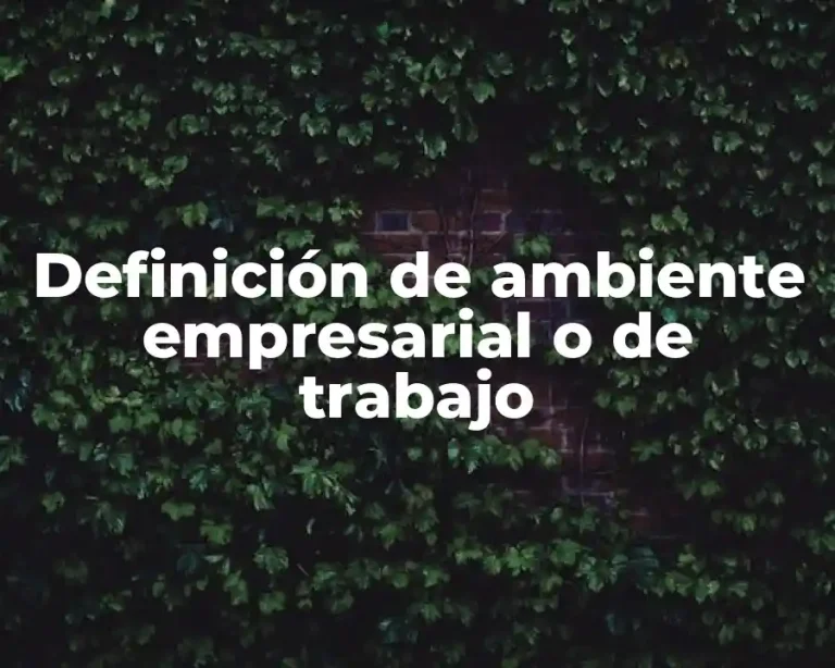Definición de ambiente empresarial o de trabajo
