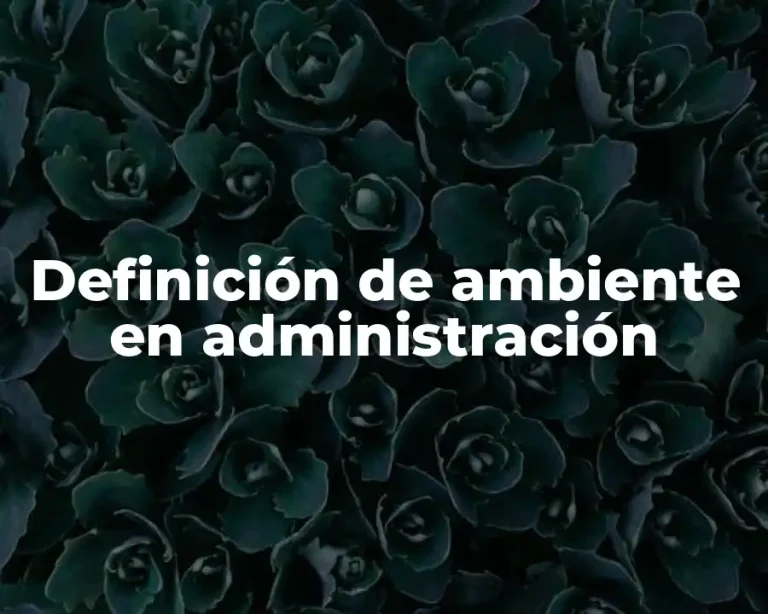 Definición de ambiente en administración