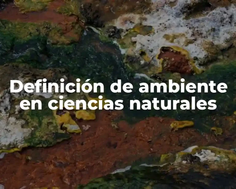 Definición de ambiente en ciencias naturales