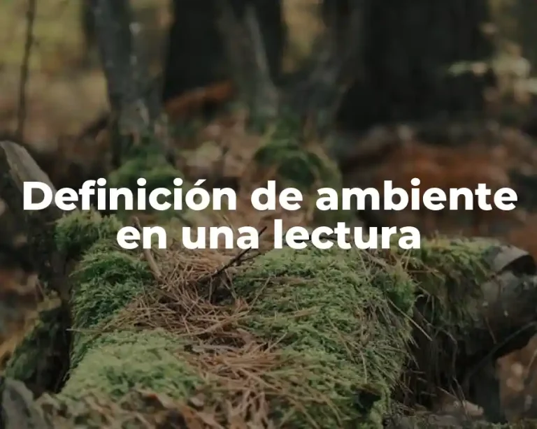 Definición de ambiente en una lectura