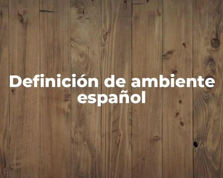 Definición de ambiente español