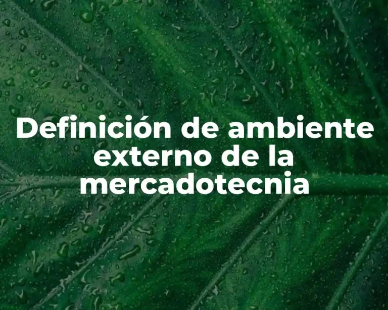 Definición de ambiente externo de la mercadotecnia