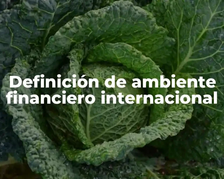 Definición de ambiente financiero internacional