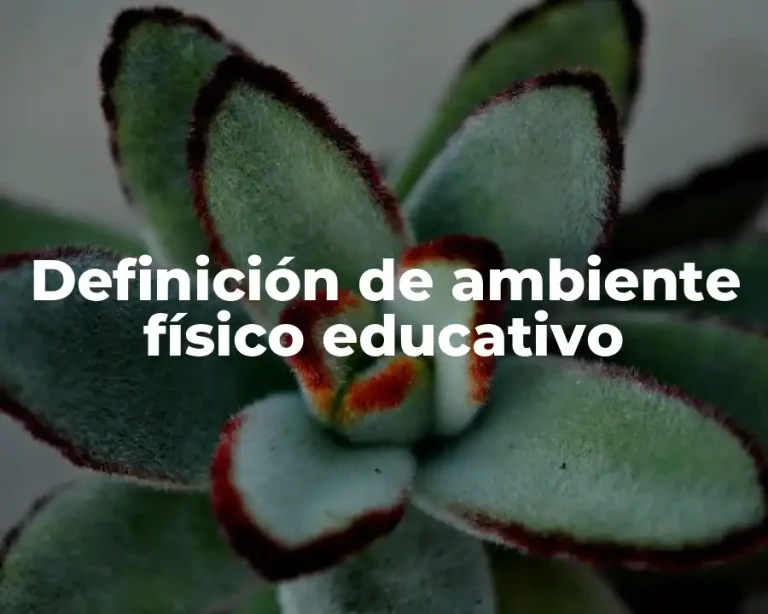 Definición de ambiente físico educativo
