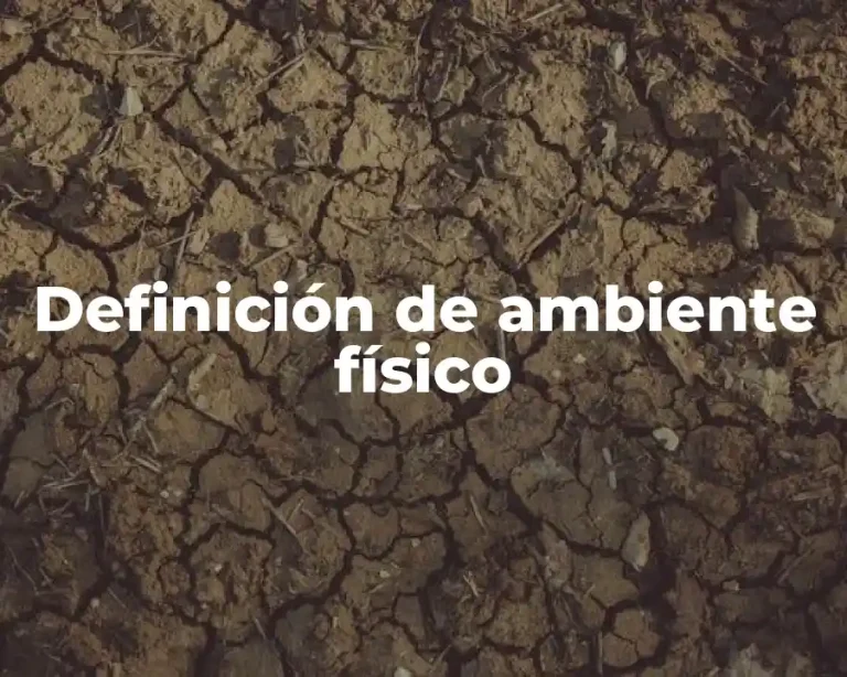Definición de ambiente físico
