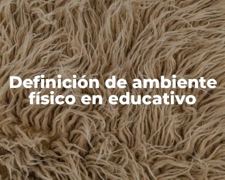 Definición de ambiente físico en educativo