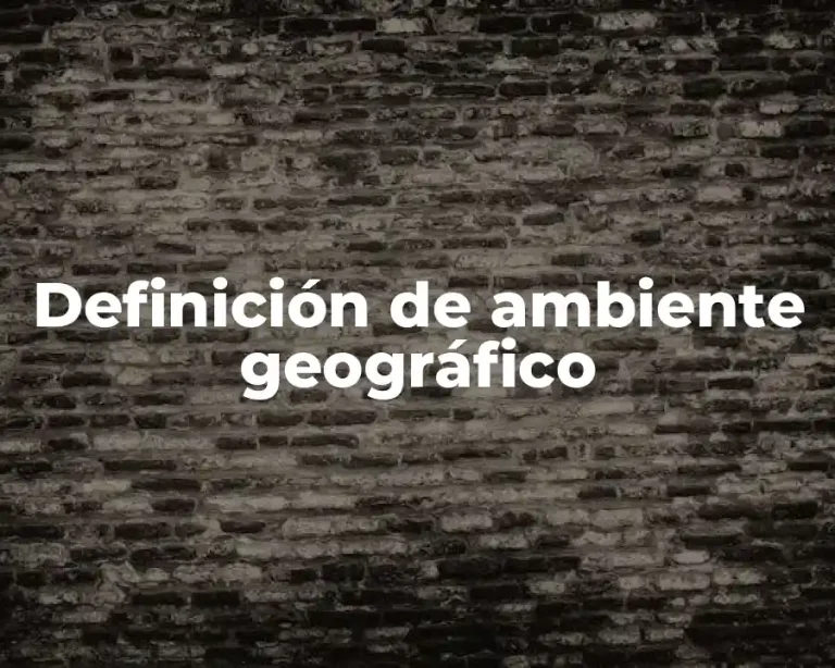 Definición de ambiente geográfico