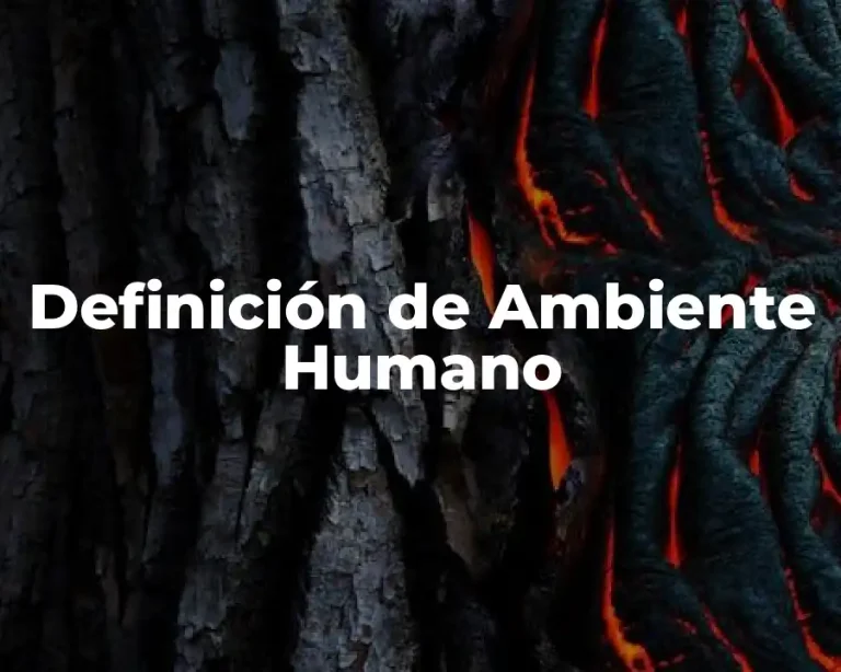 Definición de Ambiente Humano