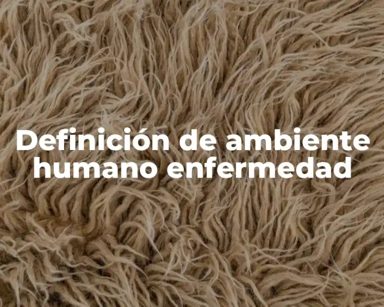 Definición de ambiente humano enfermedad