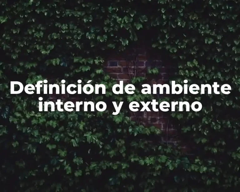 Definición de ambiente interno y externo