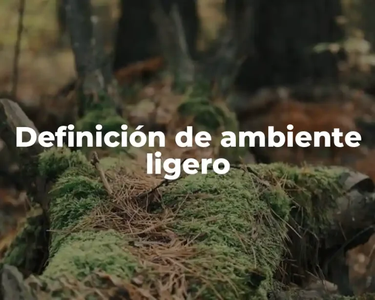 Definición de ambiente ligero