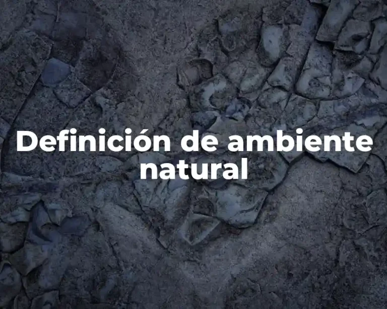 Definición de ambiente natural