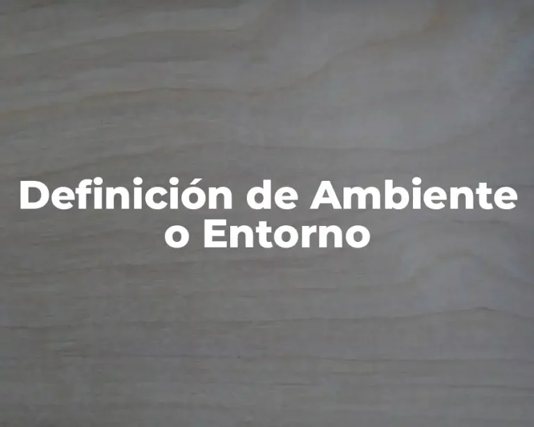 Definición de Ambiente o Entorno