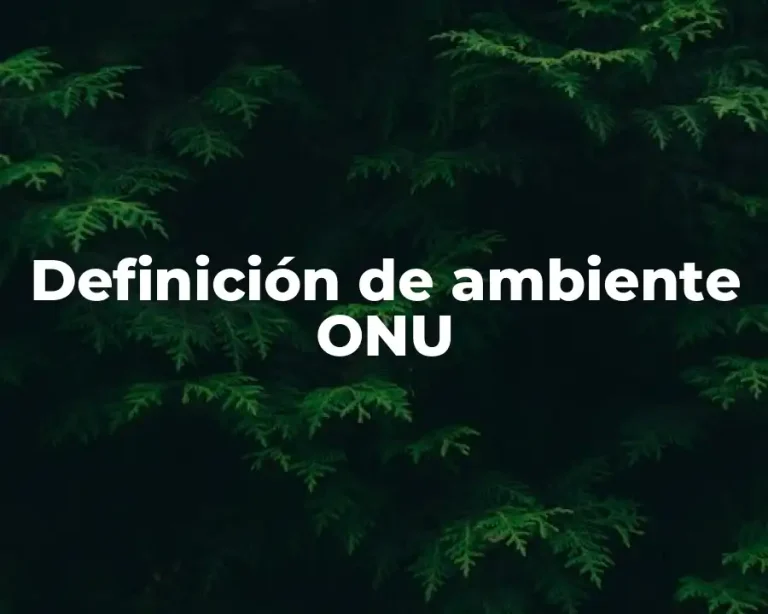 Definición de ambiente ONU