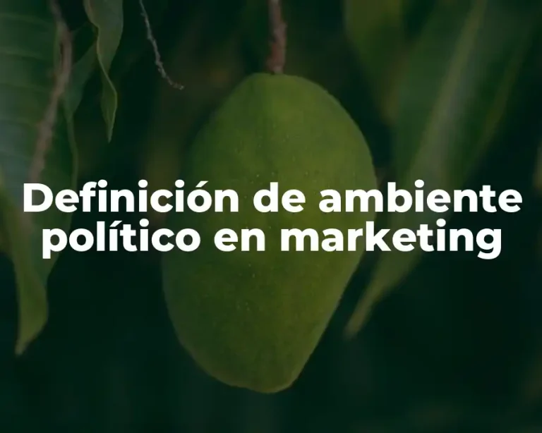 Definición de ambiente político en marketing