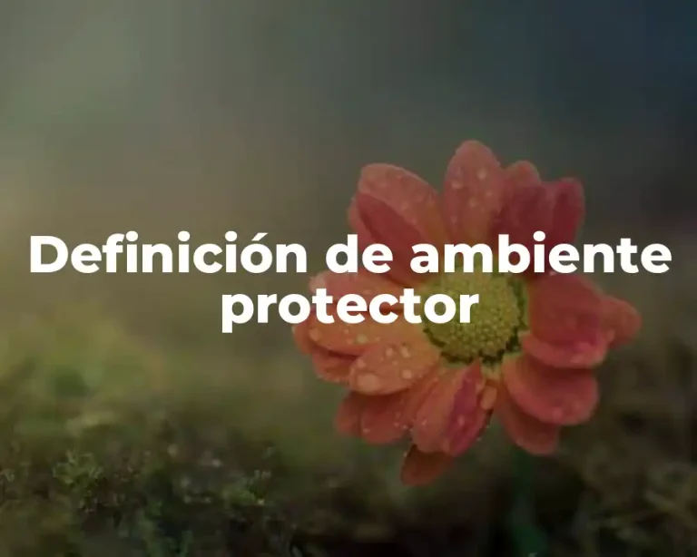 Definición de ambiente protector