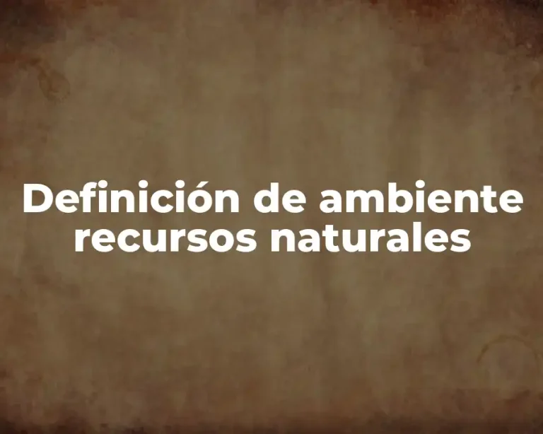 Definición de ambiente recursos naturales