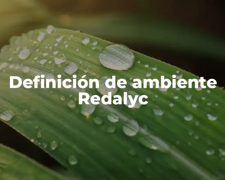 Definición de ambiente Redalyc