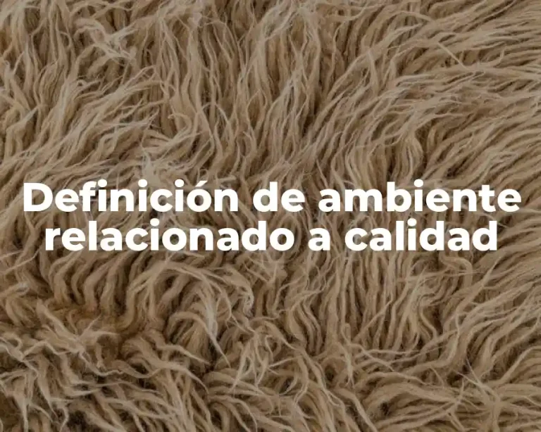 Definición de ambiente relacionado a calidad