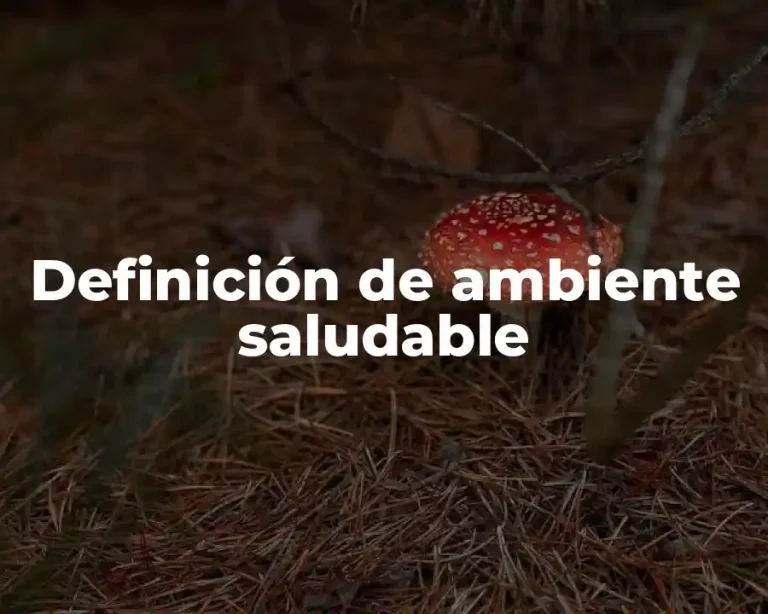 Definición de ambiente saludable
