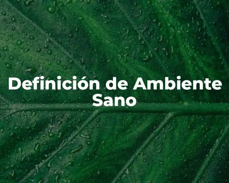 Definición de Ambiente Sano