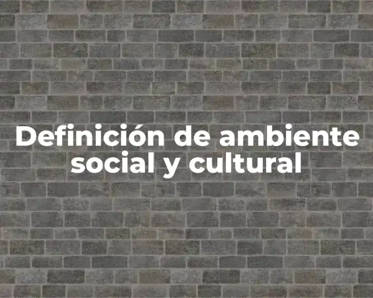 Definición de ambiente social y cultural