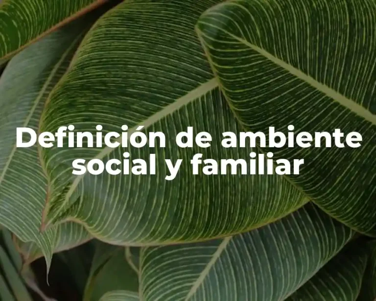 Definición de ambiente social y familiar