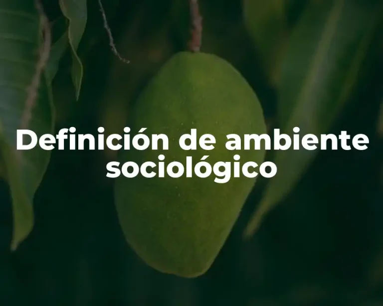 Definición de ambiente sociológico