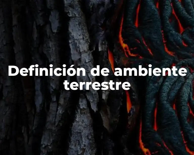 Definición de ambiente terrestre