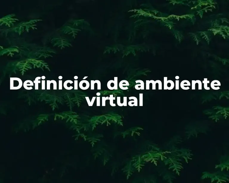 Definición de ambiente virtual