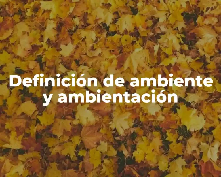 Definición de ambiente y ambientación