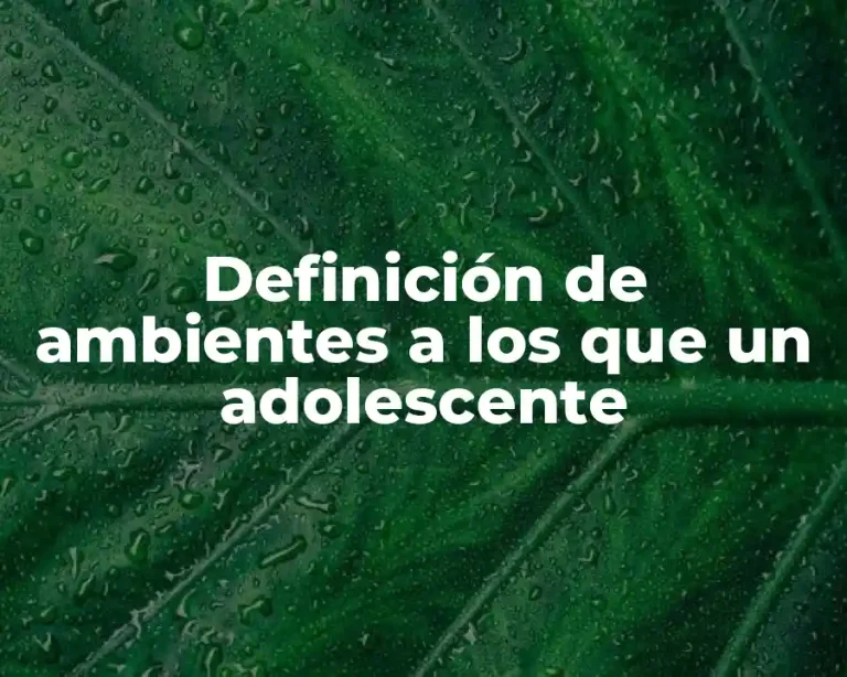 Definición de ambientes a los que un adolescente