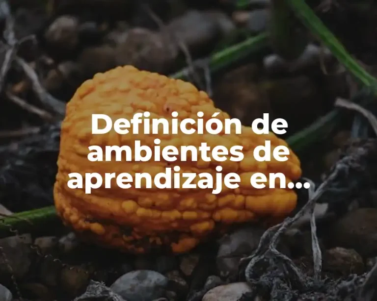 Definición de ambientes de aprendizaje en bachillerato