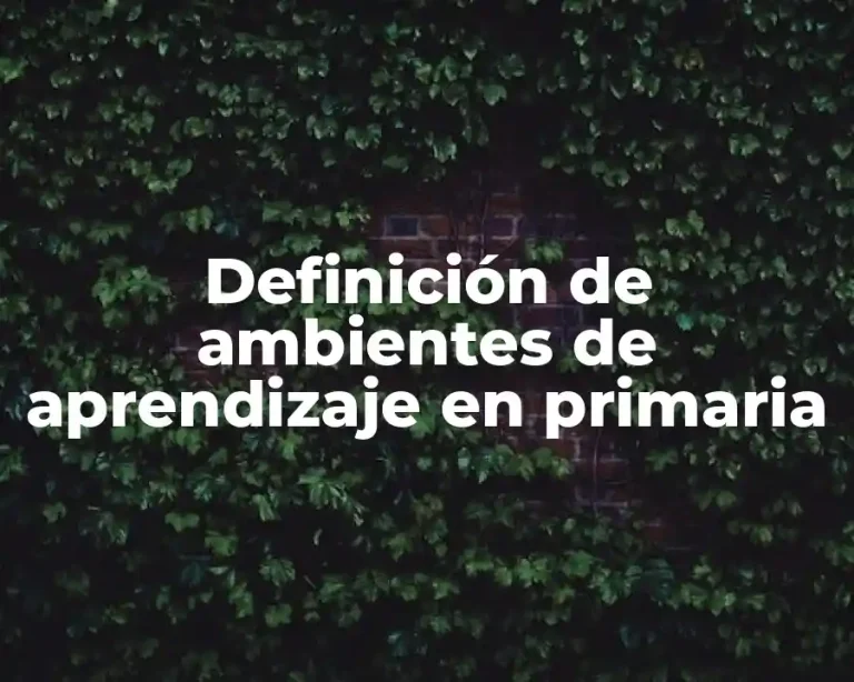 Definición de ambientes de aprendizaje en primaria