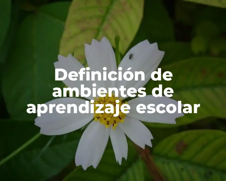 Definición de ambientes de aprendizaje escolar