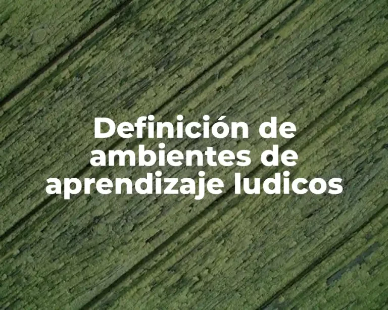 Definición de ambientes de aprendizaje ludicos