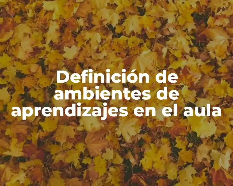 Definición de ambientes de aprendizajes en el aula
