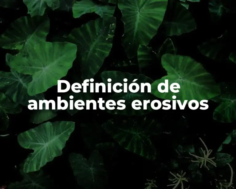 Definición de ambientes erosivos