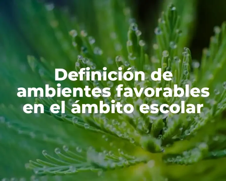 Definición de ambientes favorables en el ámbito escolar
