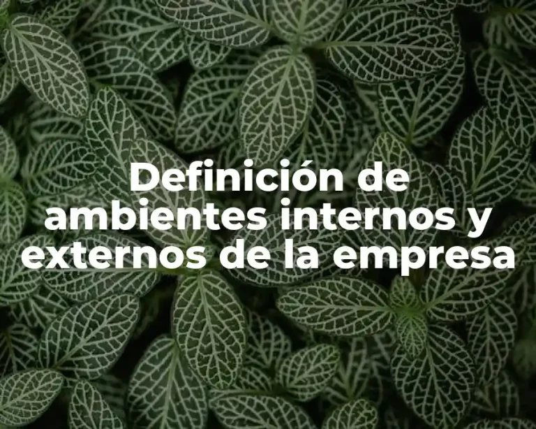 Definición de ambientes internos y externos de la empresa