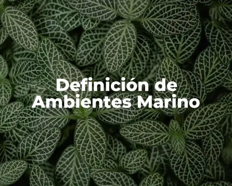 Definición de Ambientes Marino