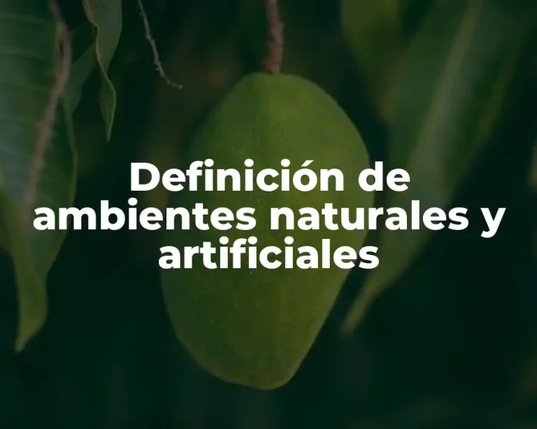 Definición de ambientes naturales y artificiales